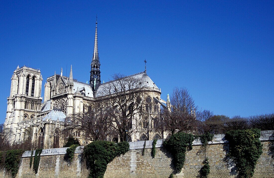 Notre Dame