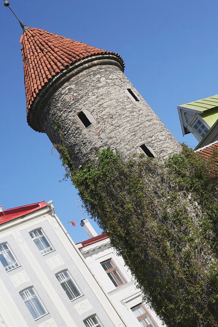 Mittelalterliches Viru-Tor in der Altstadt