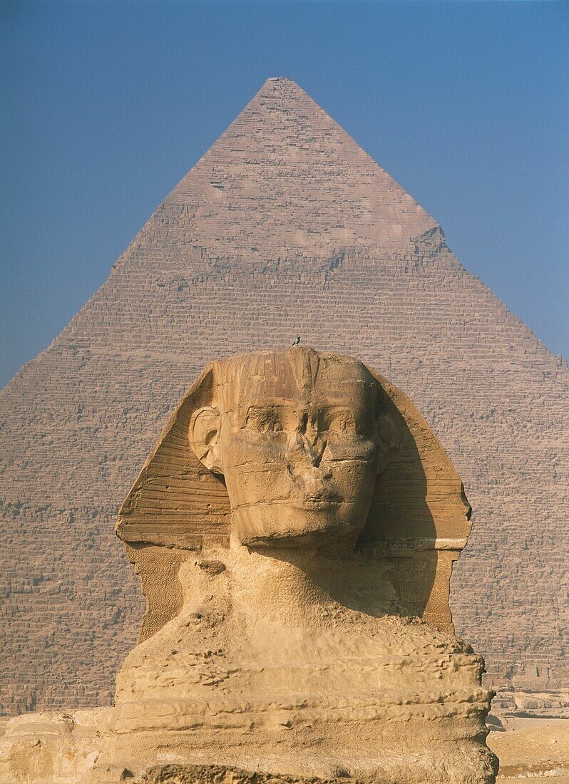 Sphinx In Front Of Great Pyramid Of Chephren