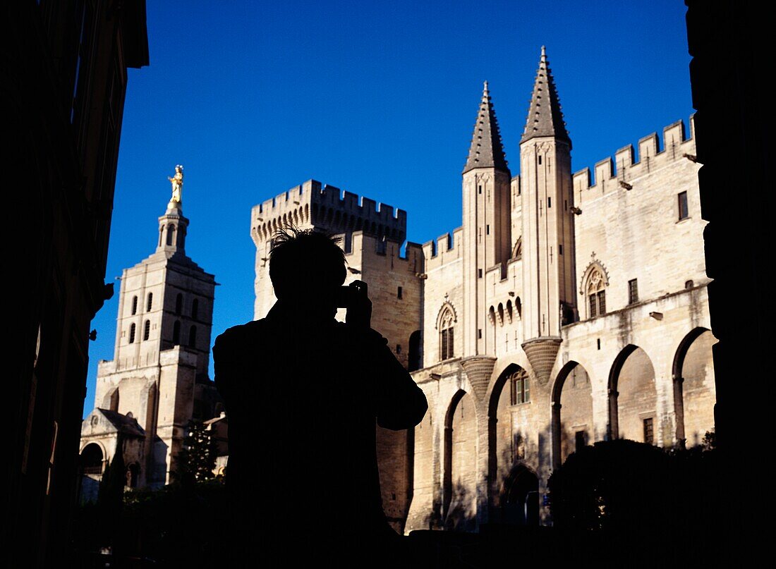 Man Taking Picture Of The Palais Des Papes And The Cathedrale Notre Dame Des Doms