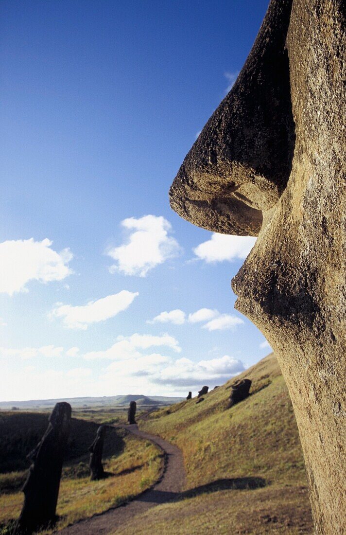 Moai At Rano Raraku Quarry