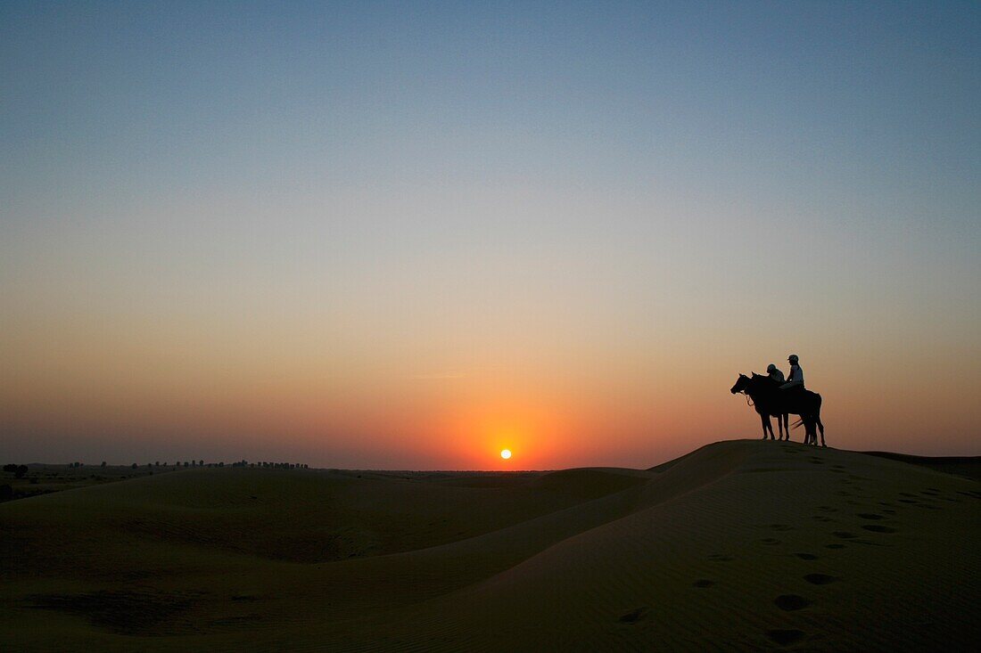 Pferdereiten in den Vereinigten Arabischen Emiraten.