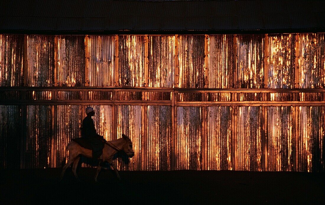 Man Riding A Donkey In Front Of A Golden Wall