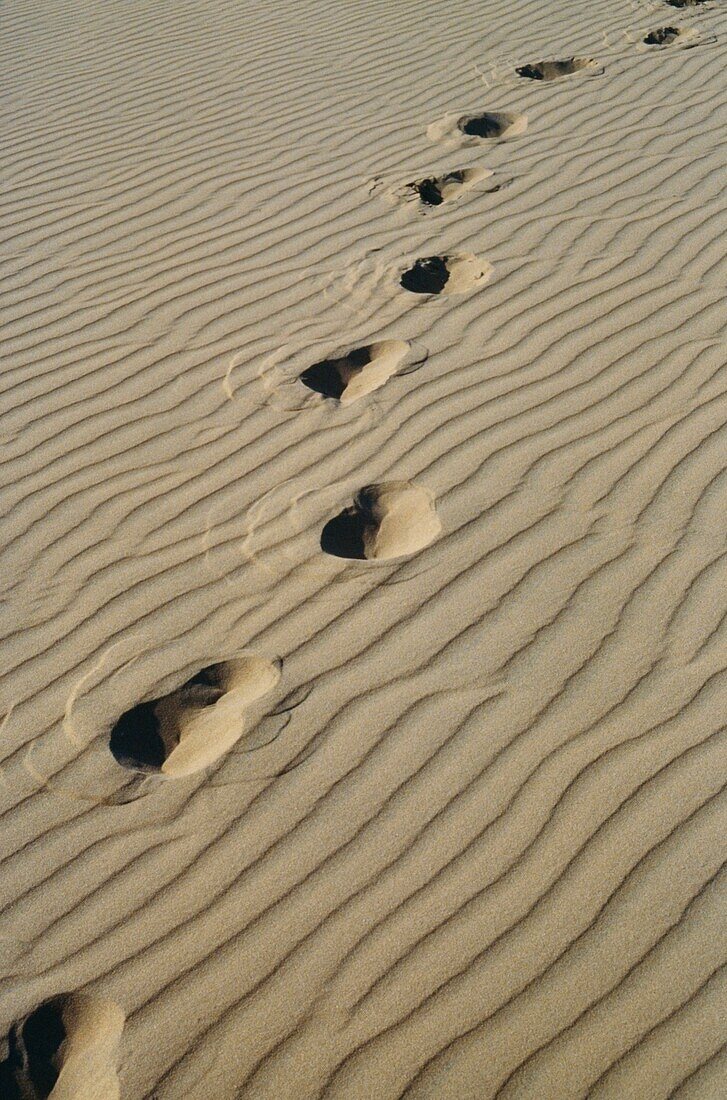 Fußabdrücke im Sand, Nahaufnahme