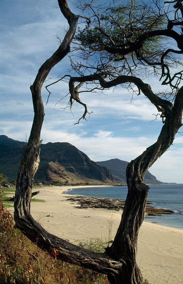 Makaha West Coast