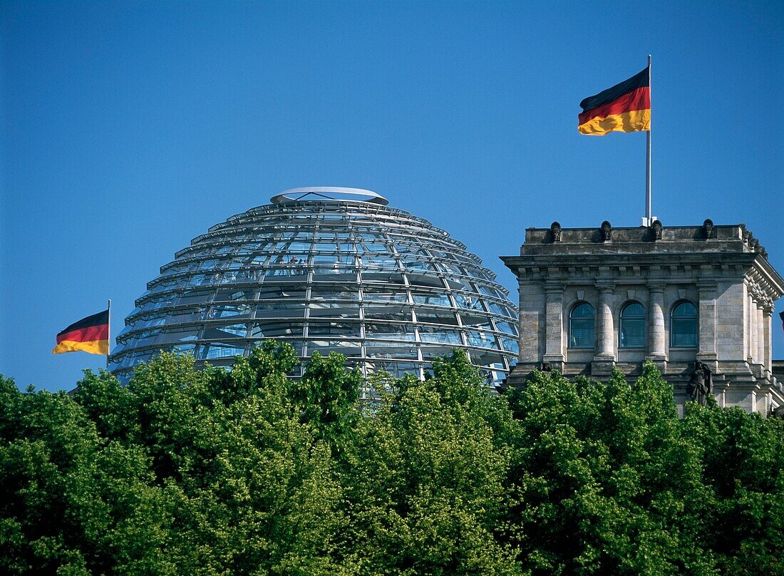 Reichstag über den Bäumen des Tiergartens