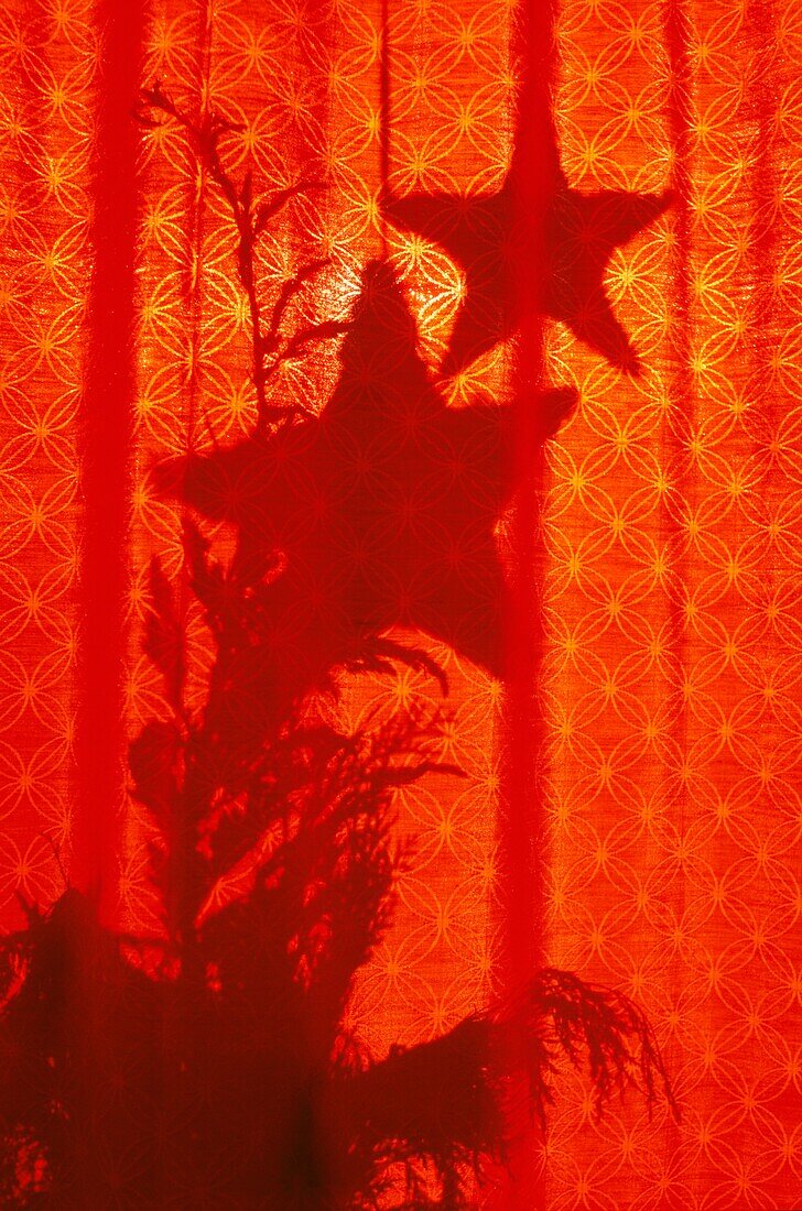 Tree And Star Shadows On Red Curtains