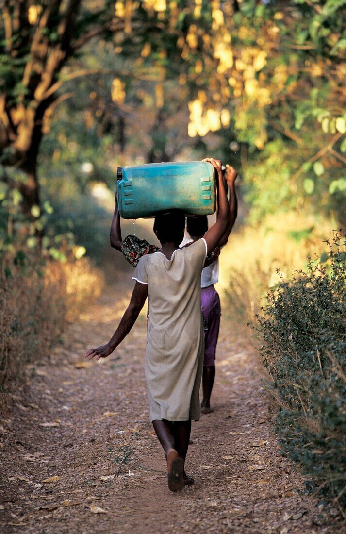 People Collecting Water