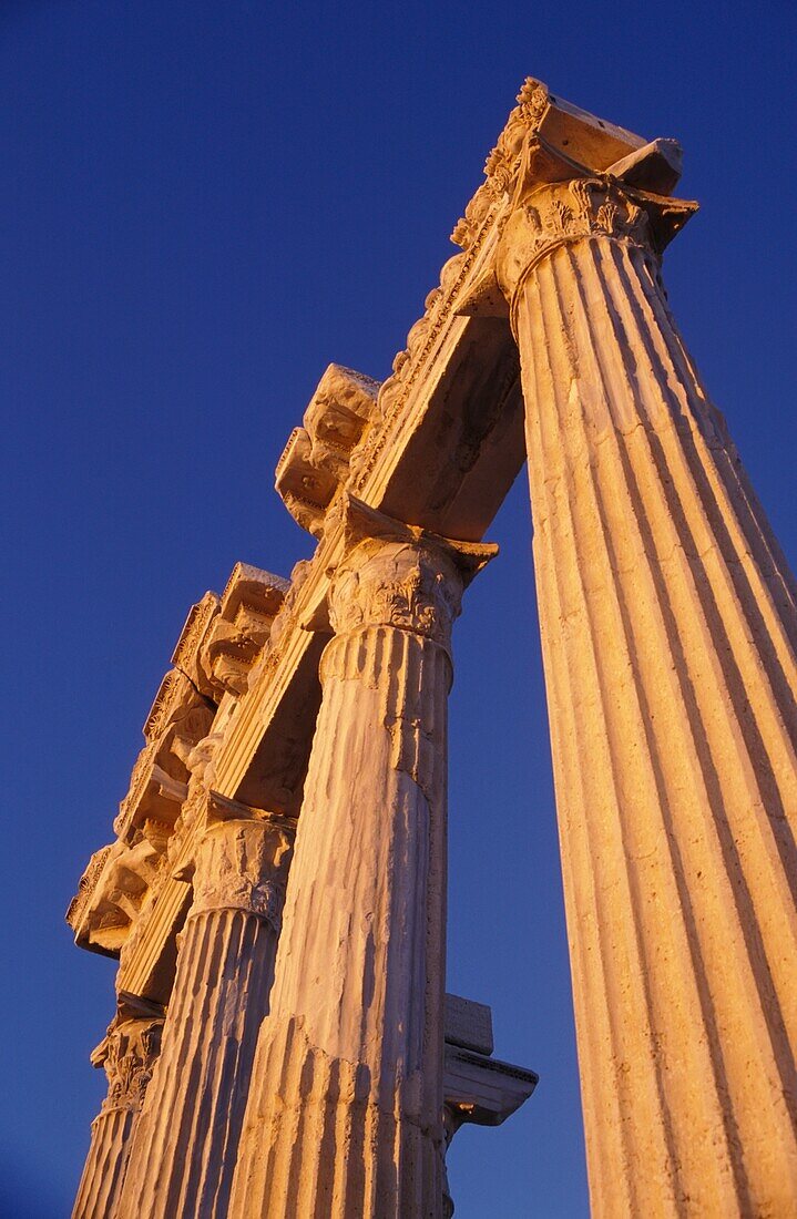 Classical Column, Low Angle View