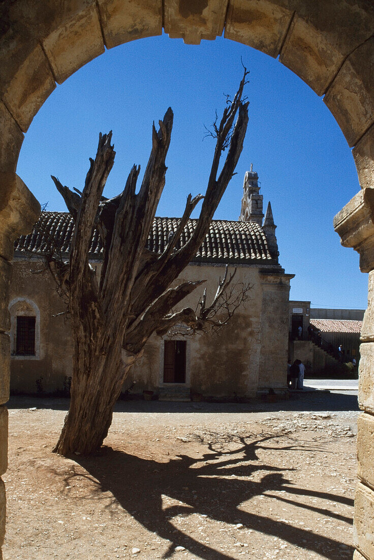 Historische Zypresse im Moni Arkadi Kloster