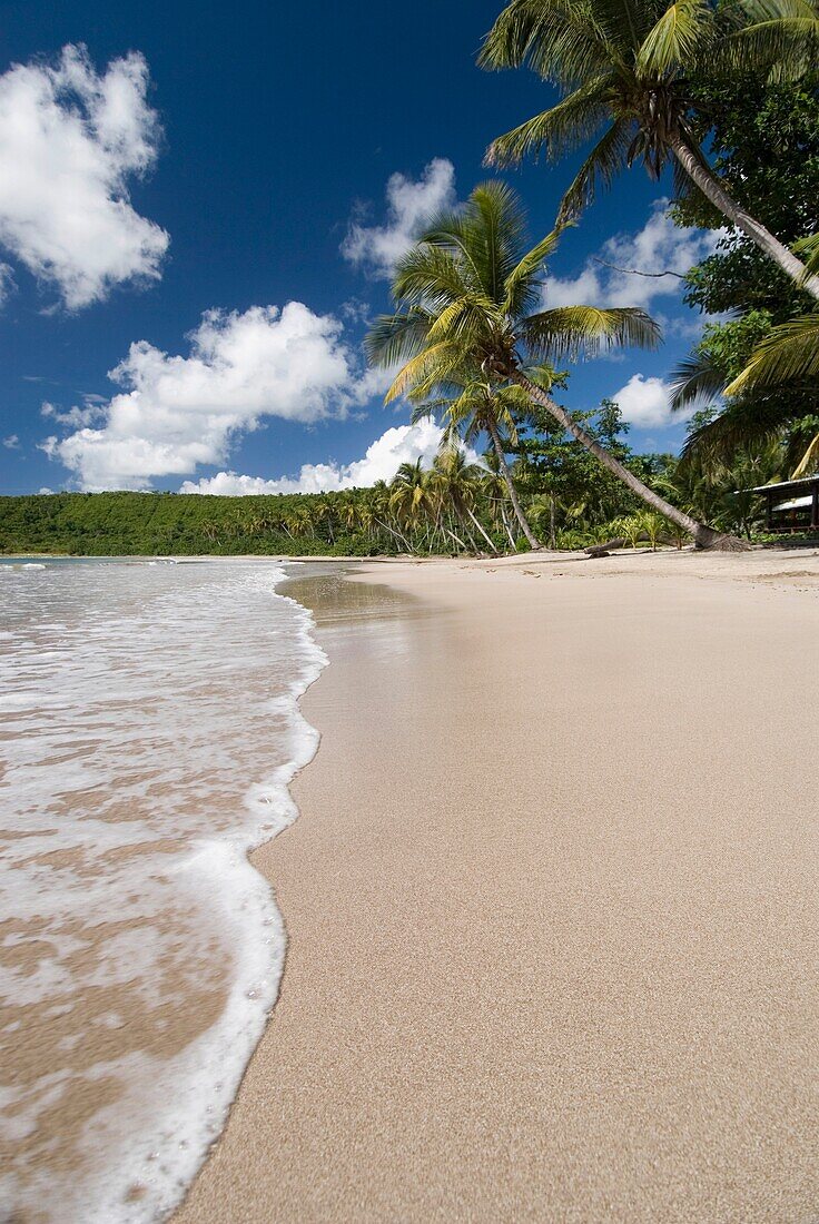 Looking Along The Beach At La Sagesse