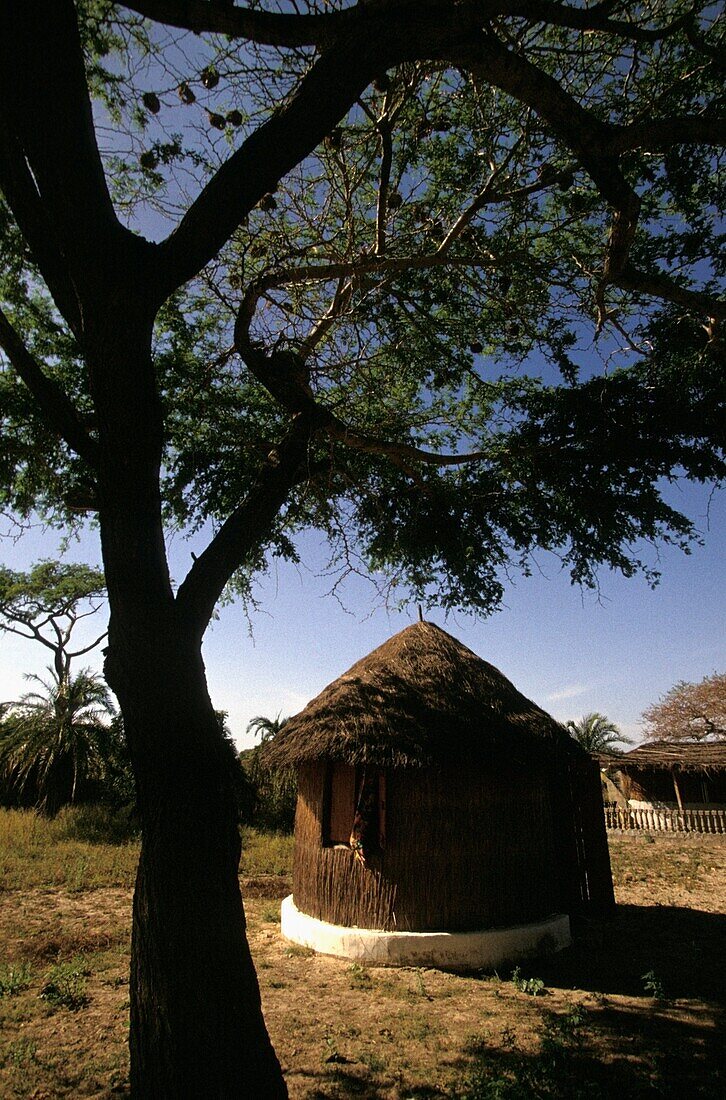 Round Grass Huts In Rural Village