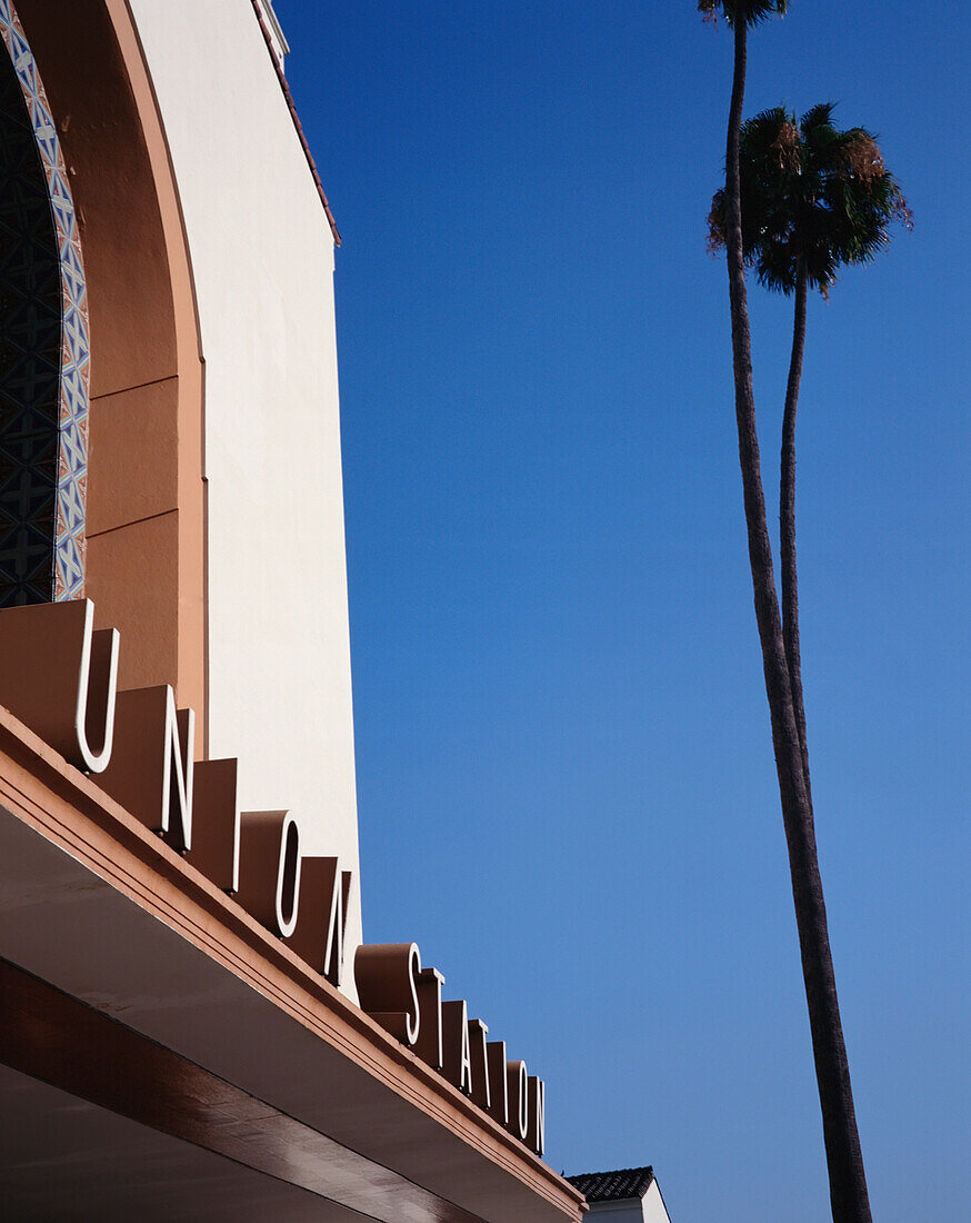 Union Station And Palm Tree