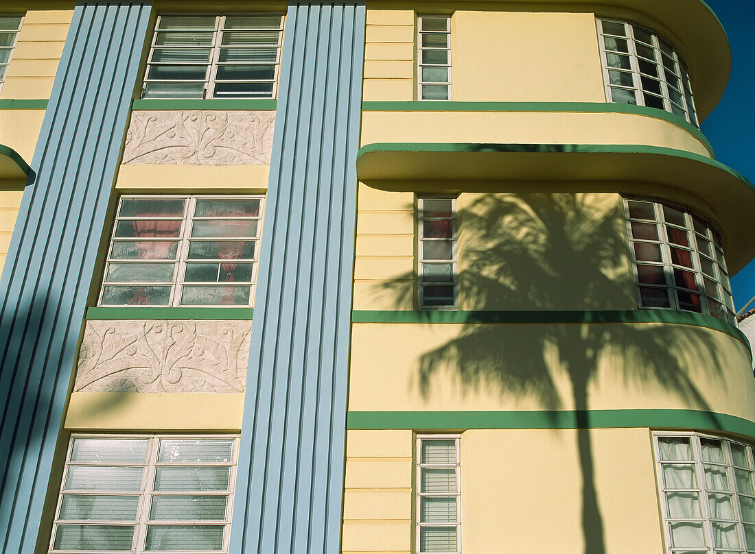 Shadow Of Palm Tree On Art Deco Building