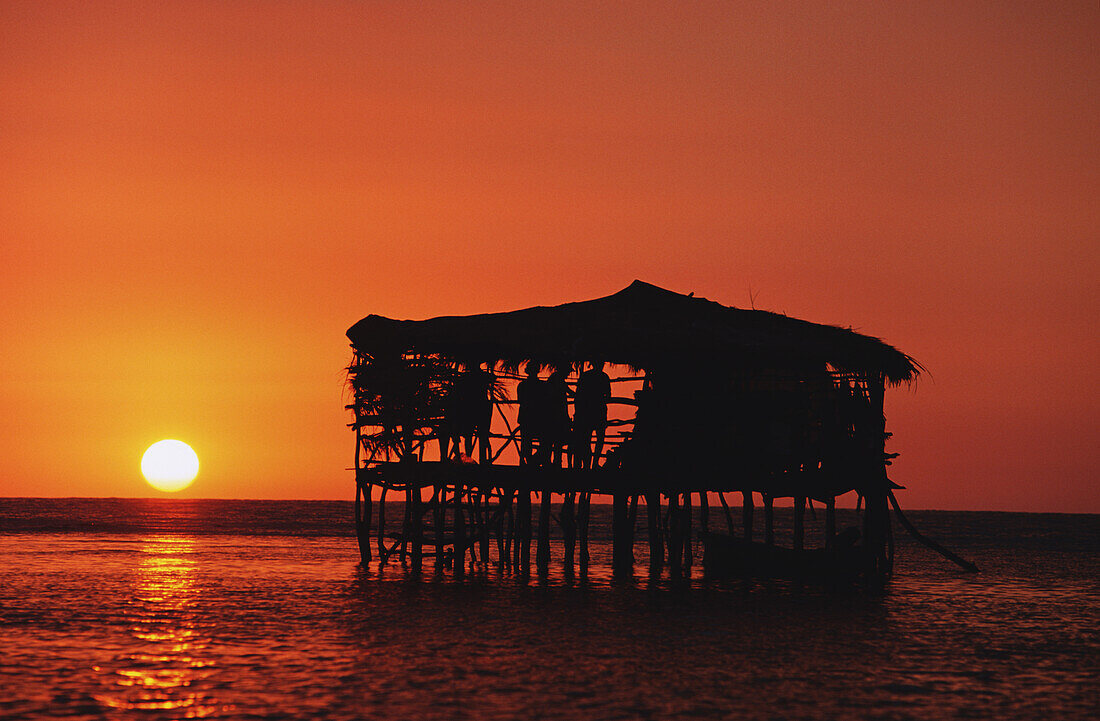 Pelican Bar At Sunset