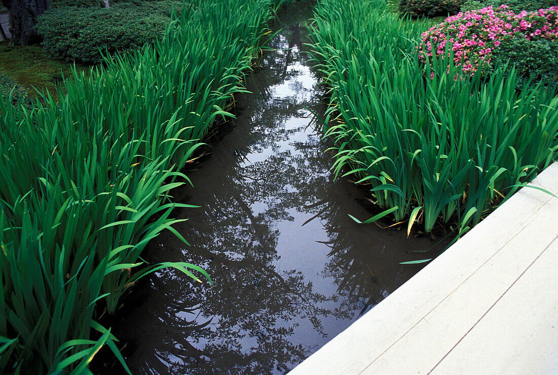 Spazierweg über Wasser in einem traditionellen Garten, Nahaufnahme