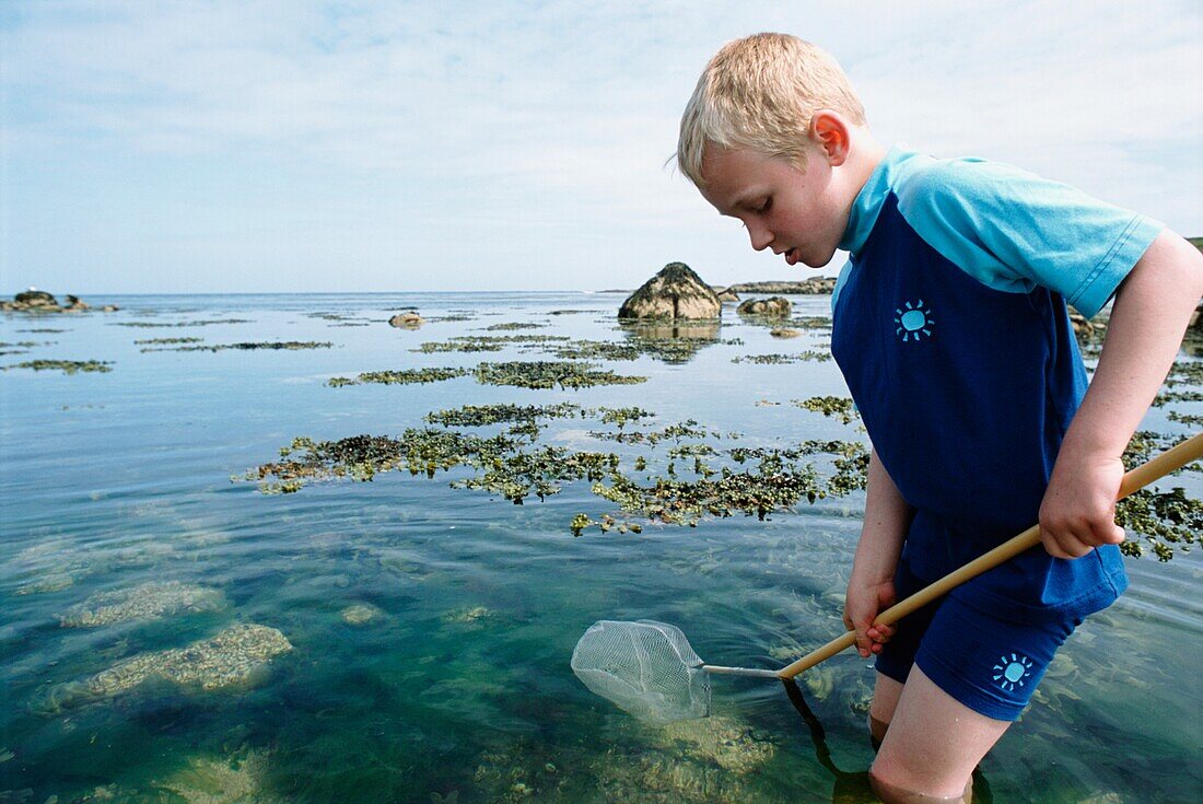Young Boy Rock Pooling In Sea