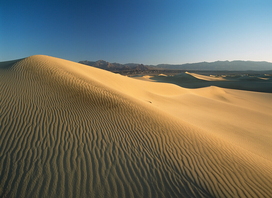 Blick über die Sanddünen in der Morgendämmerung bei Stovepipe Wells