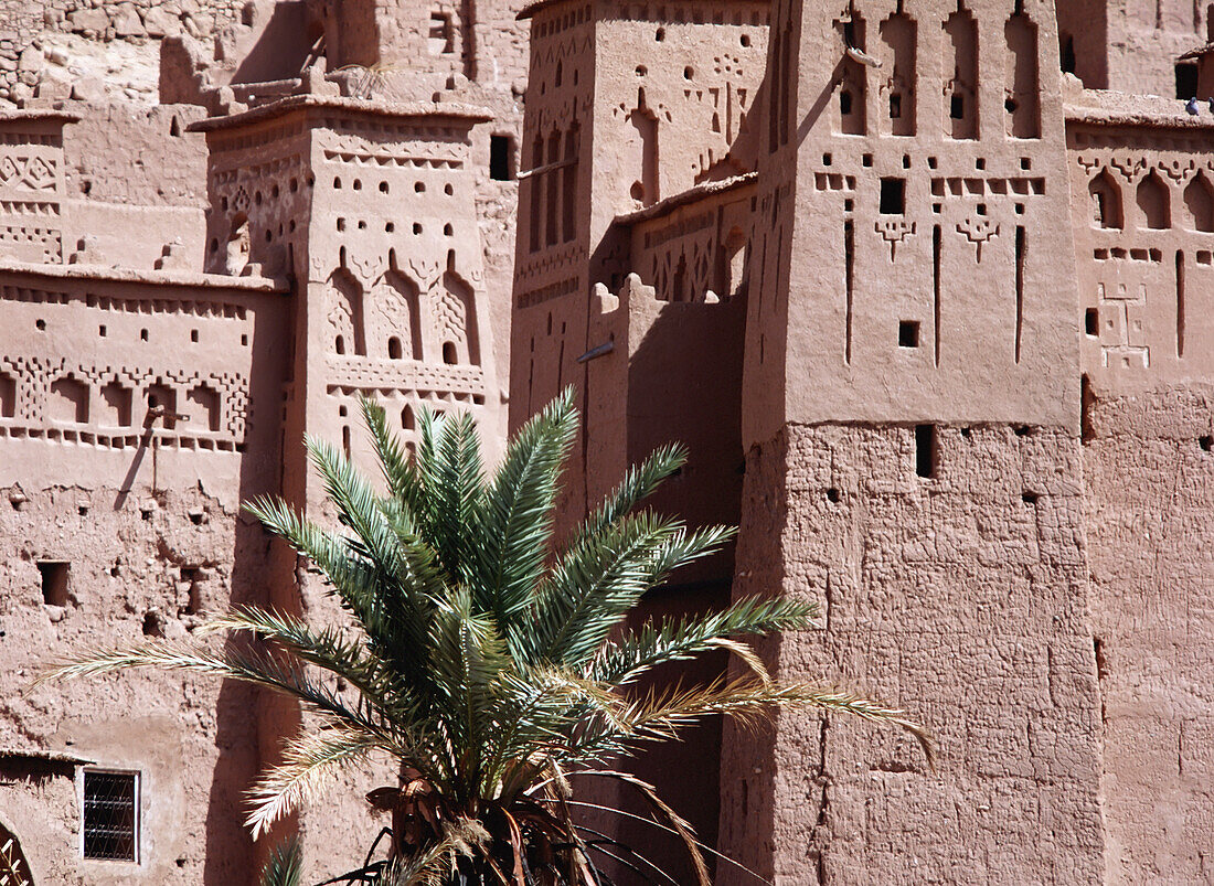 Date Palms And The Buildings Of The Kasbahs Of Ait Benahaddou Near Quarzazate