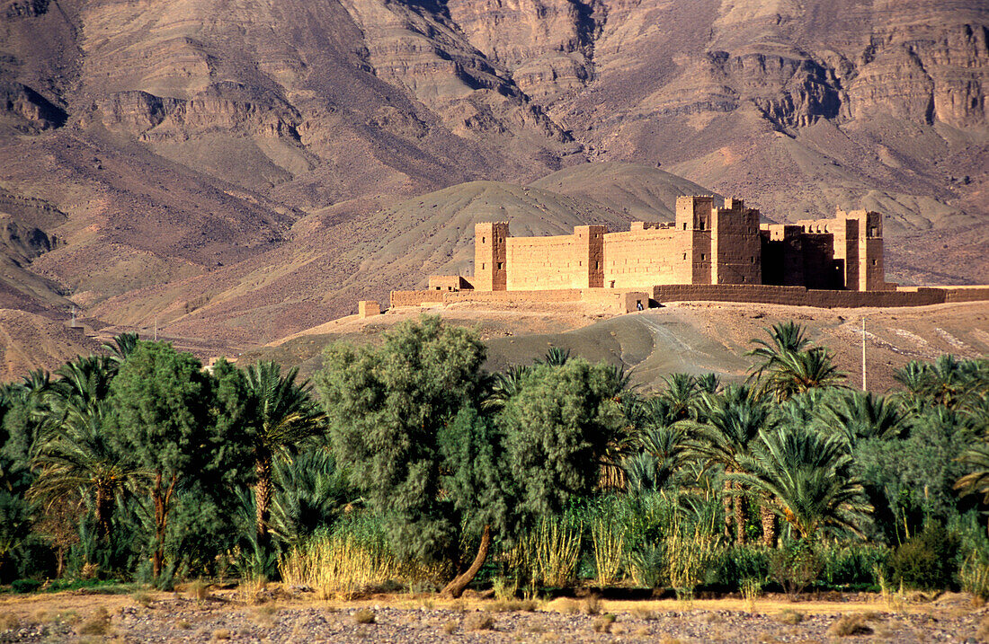 Kasbah In Mountains Above Palm Trees