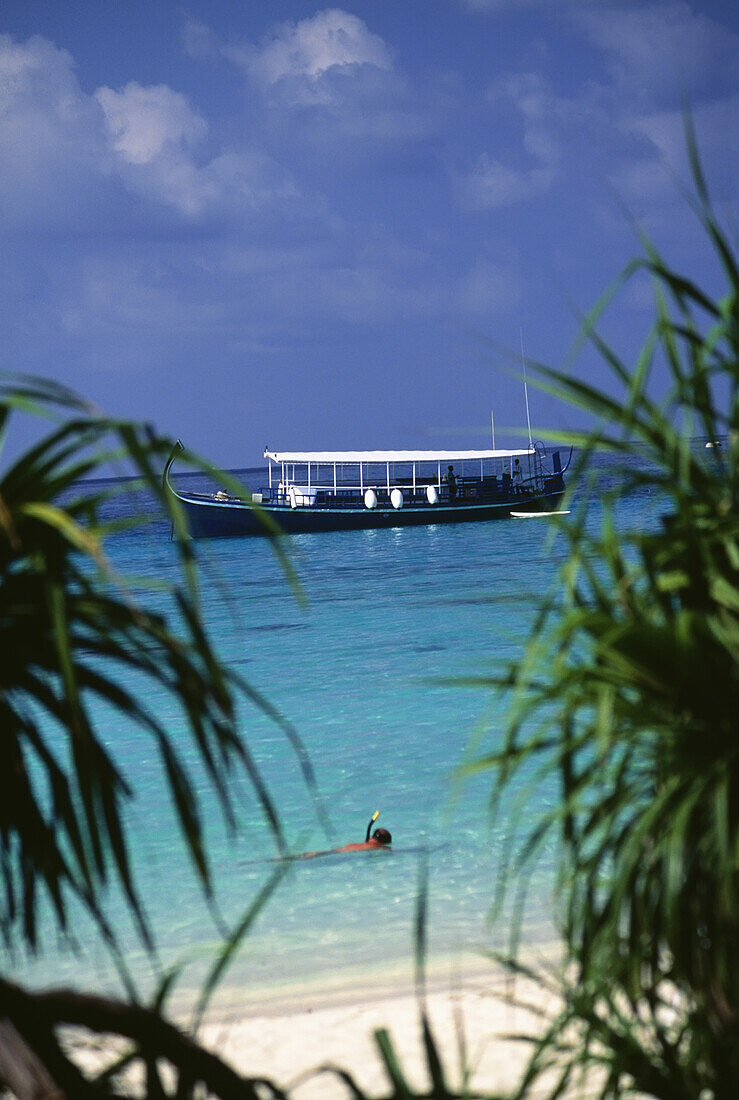 Man Snorkeling Beside Beach With Boat In Background