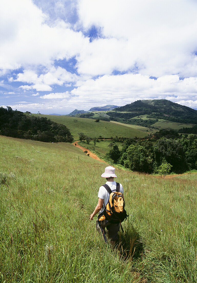 Frau geht durch eine Wiese auf dem Zomba Plateau