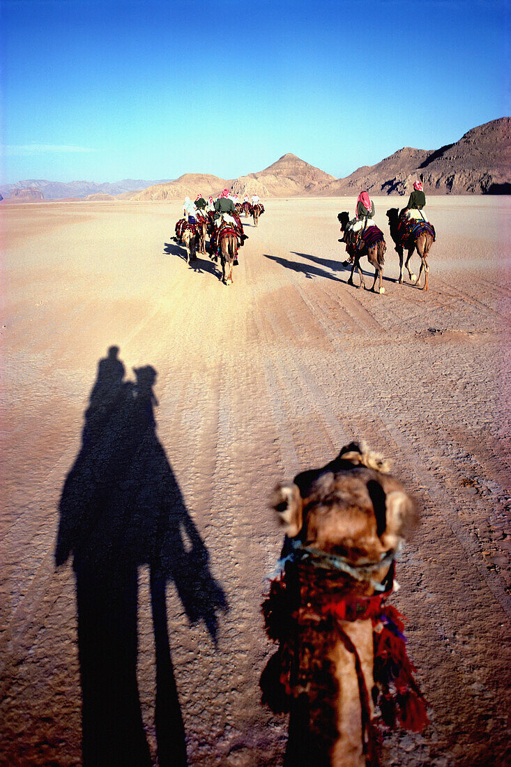 Riding Camels
