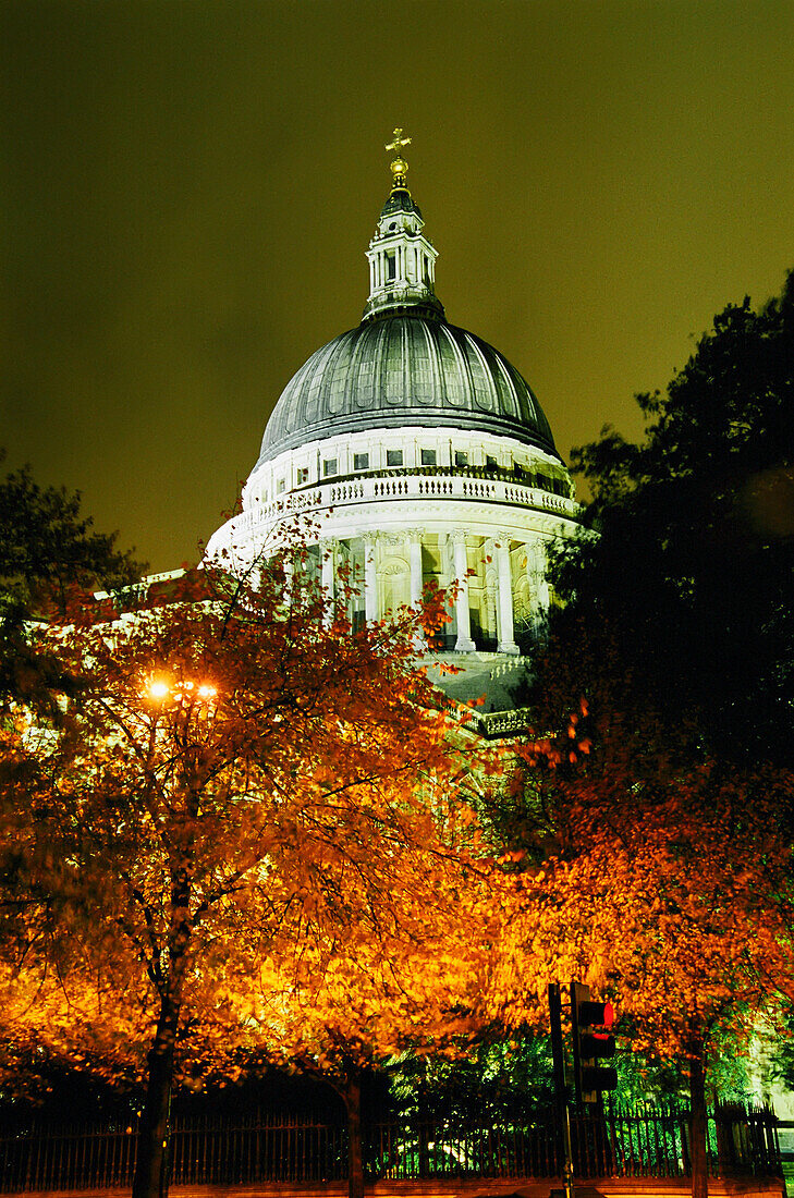 St Paul's Cathedral At Night With Trees