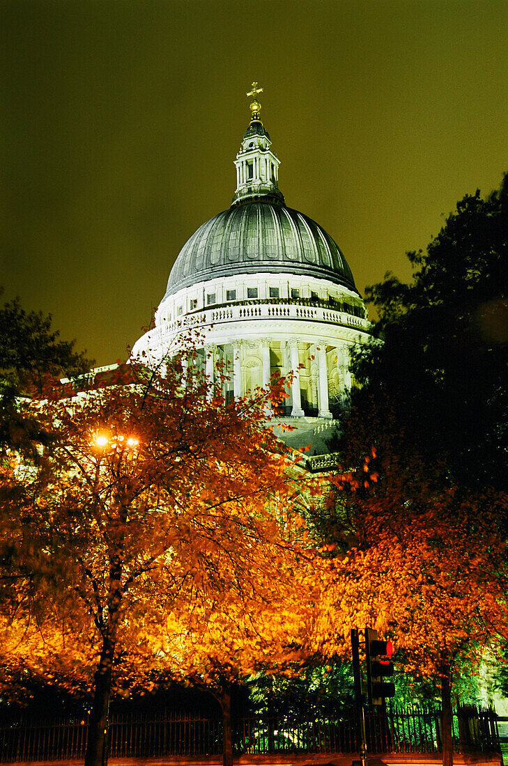 St Paul's Cathedral bei Nacht mit Bäumen