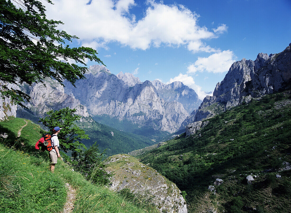 Walker In The Picos De Europa