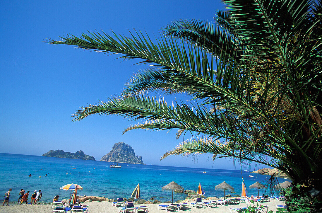 Es Vedra Rock Beach And Palm Tree