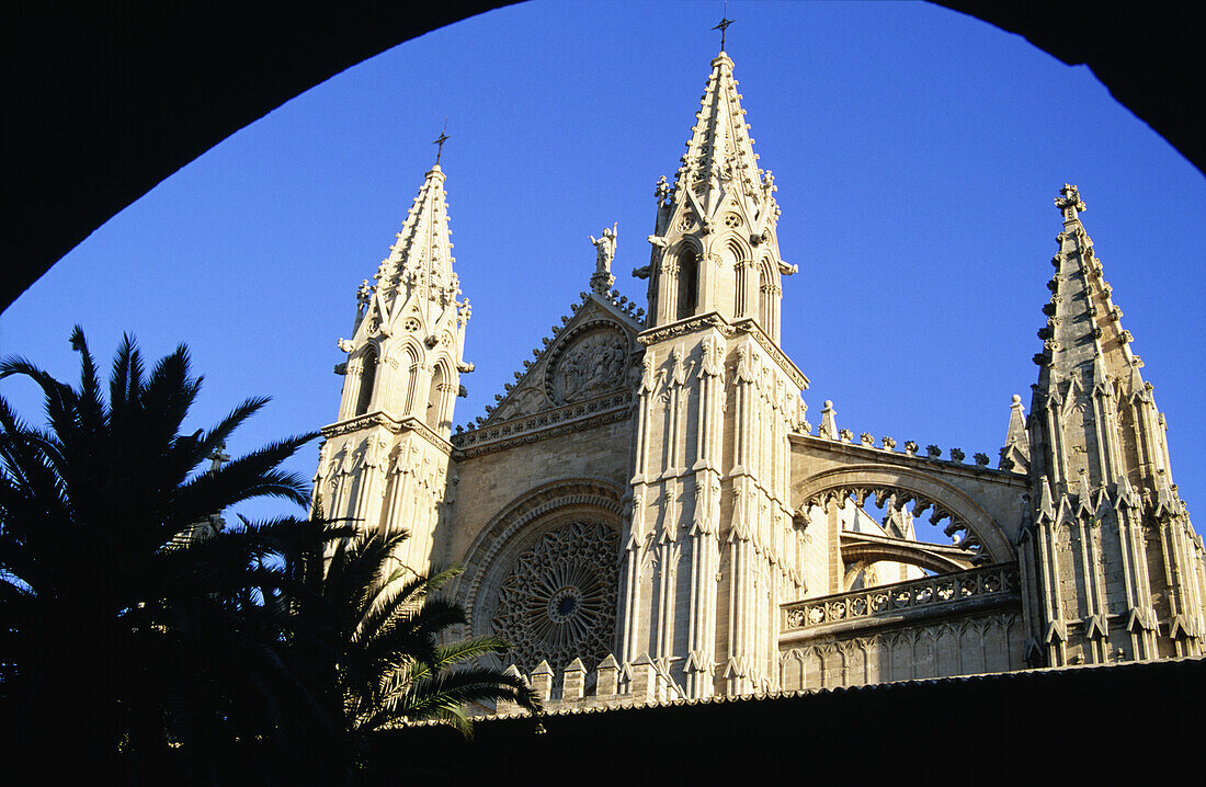 Kathedrale von Palma und Palme