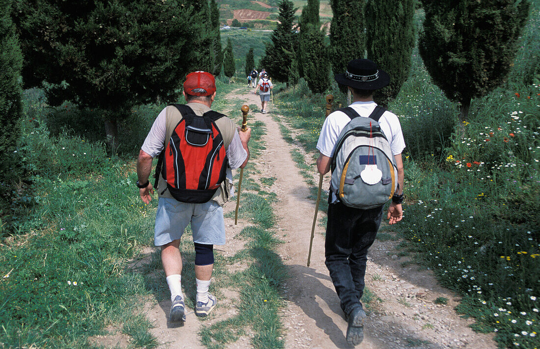 Santiago-Pilger auf dem Weg von Frankreich, vorbei am Dorf Cirauqui