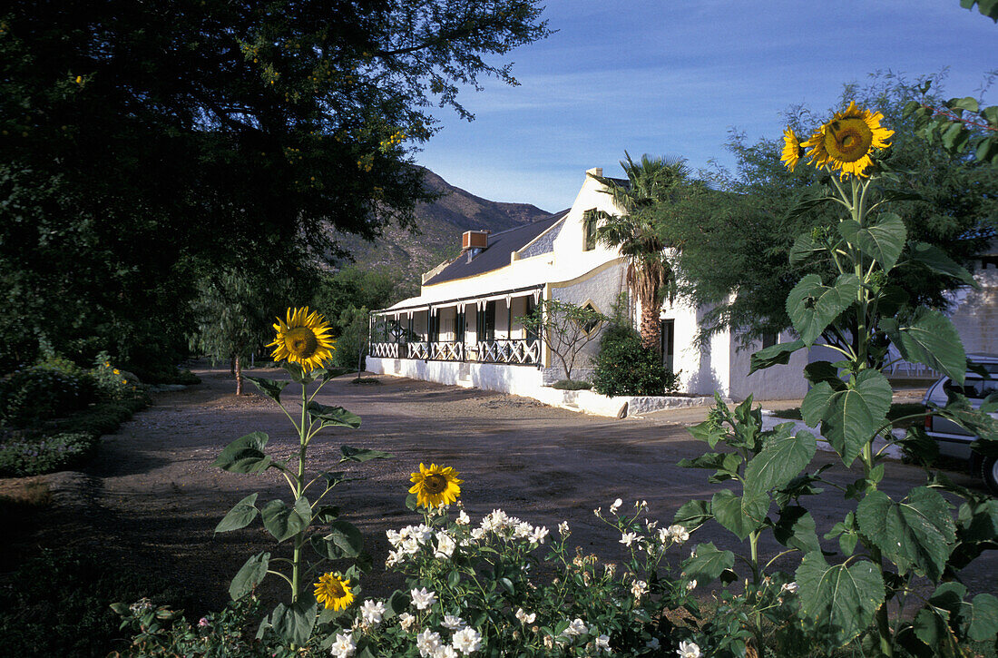 Dennehof Guest House, Prince Albert, Karoo, South Africa