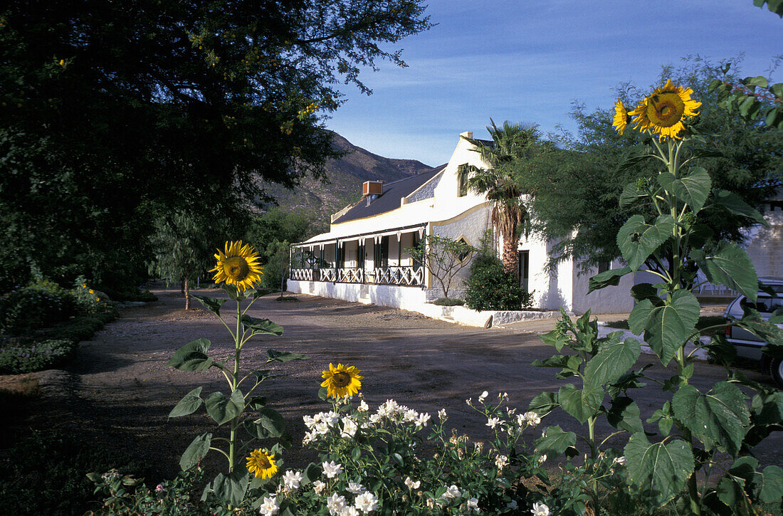 Gästehaus Dennehof, Prince Albert, Karoo, Südafrika