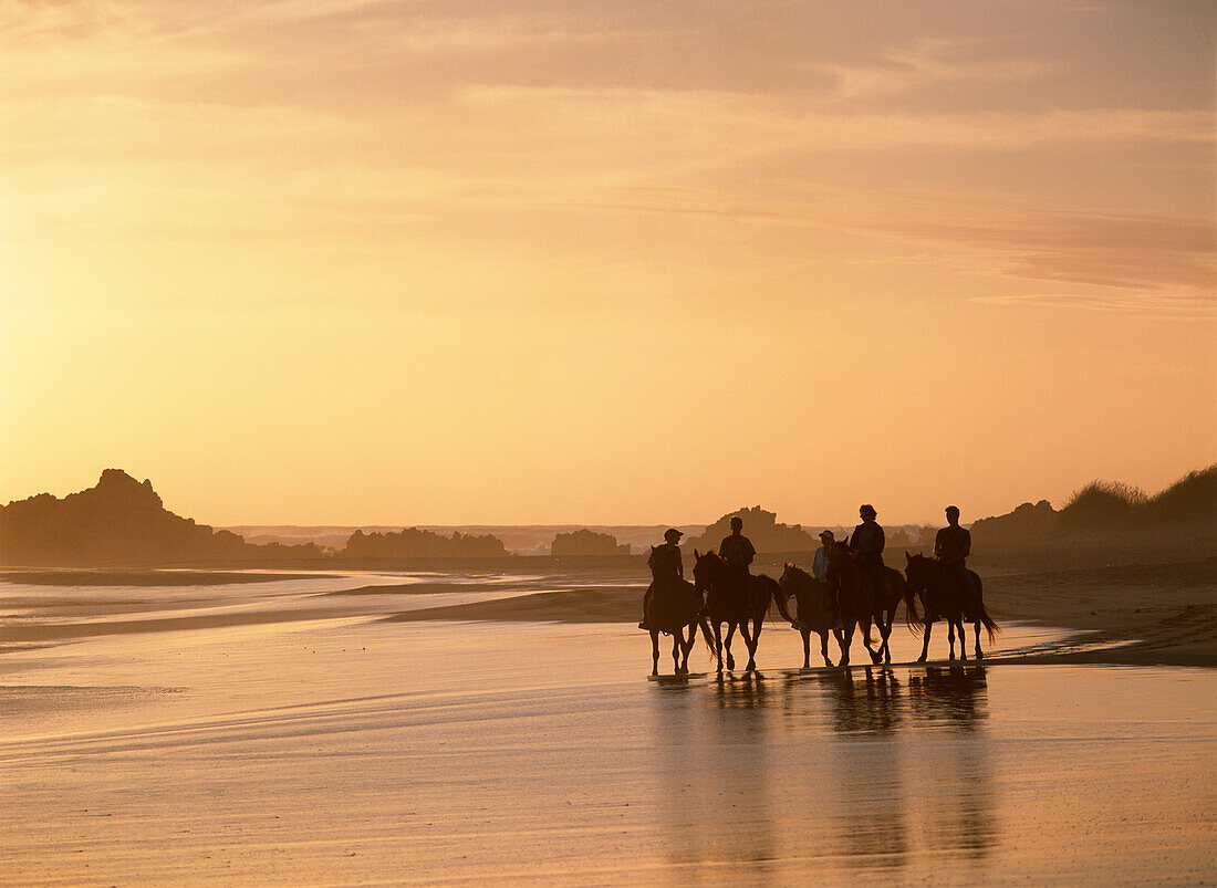 Menschen reiten in der Abenddämmerung am Strand neben der Buffalo Bay