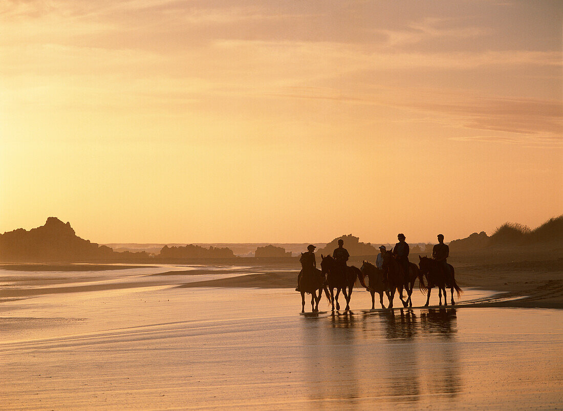 People Horseback Riding At Dusk On The Beach Beside Buffalo Bay