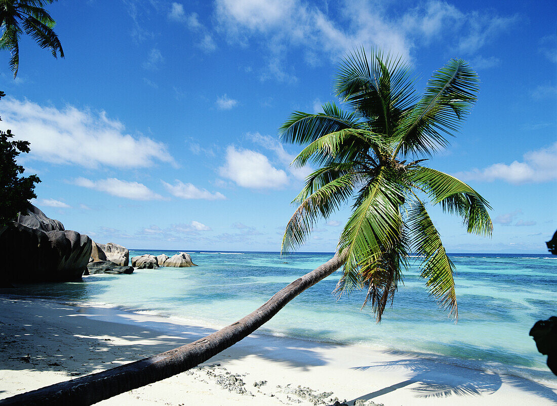 Tropical Beach With Rocks