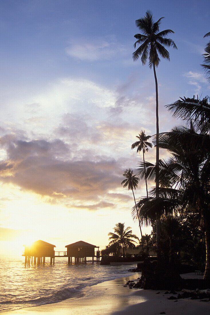 Stilted Huts And Palm Trees In Silhouette By Beach