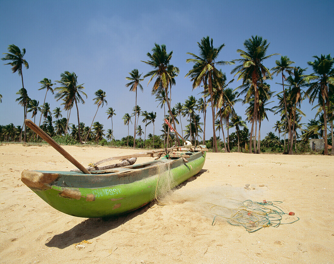 Auslegerkanus und Palmen in Strandnähe, Distrikt Trincomalee