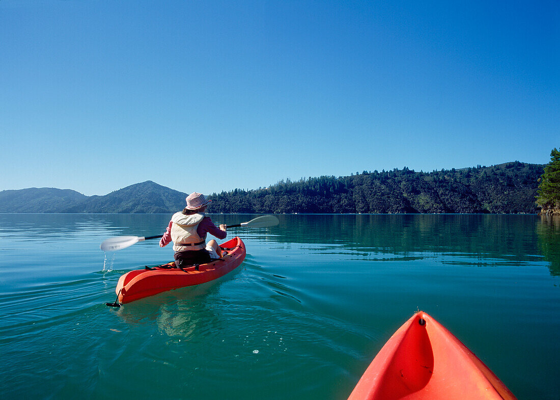 Kayaking Around Marlborough Sound