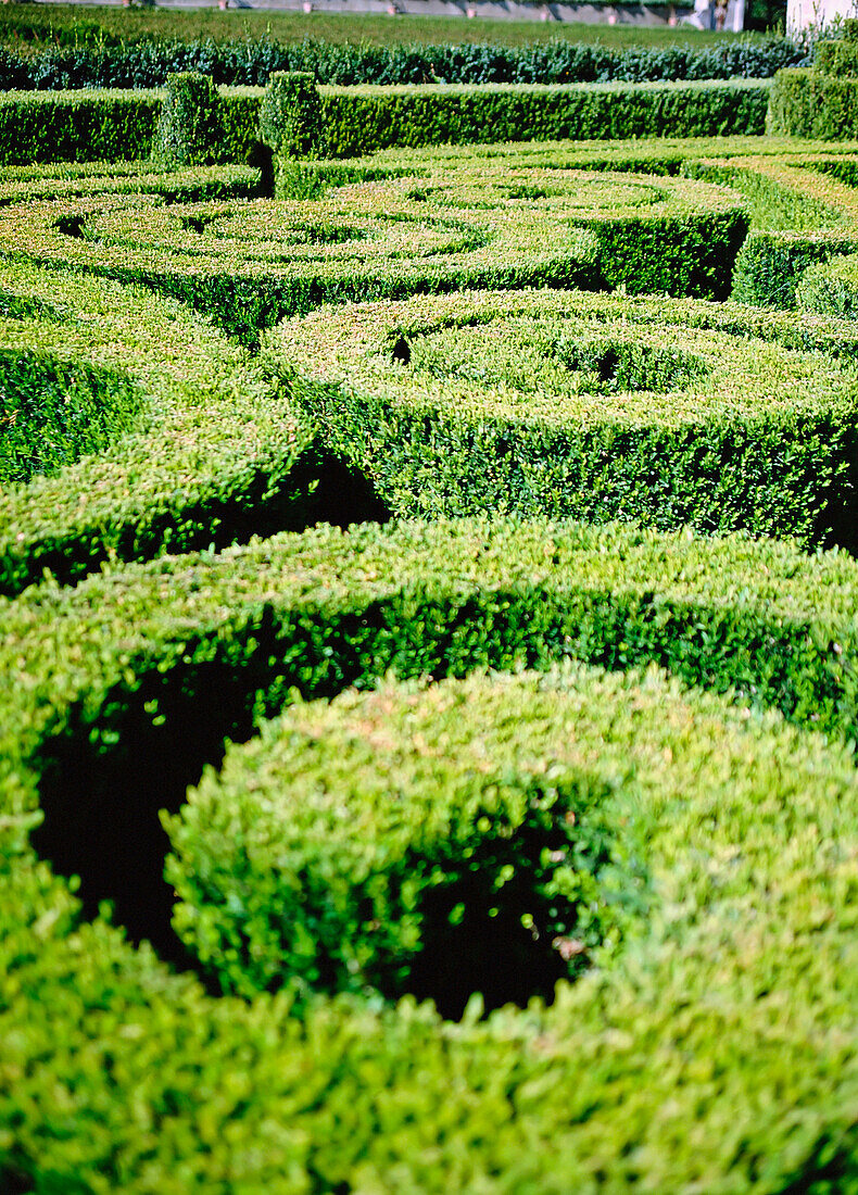 Manicured Gardens, Close-Up