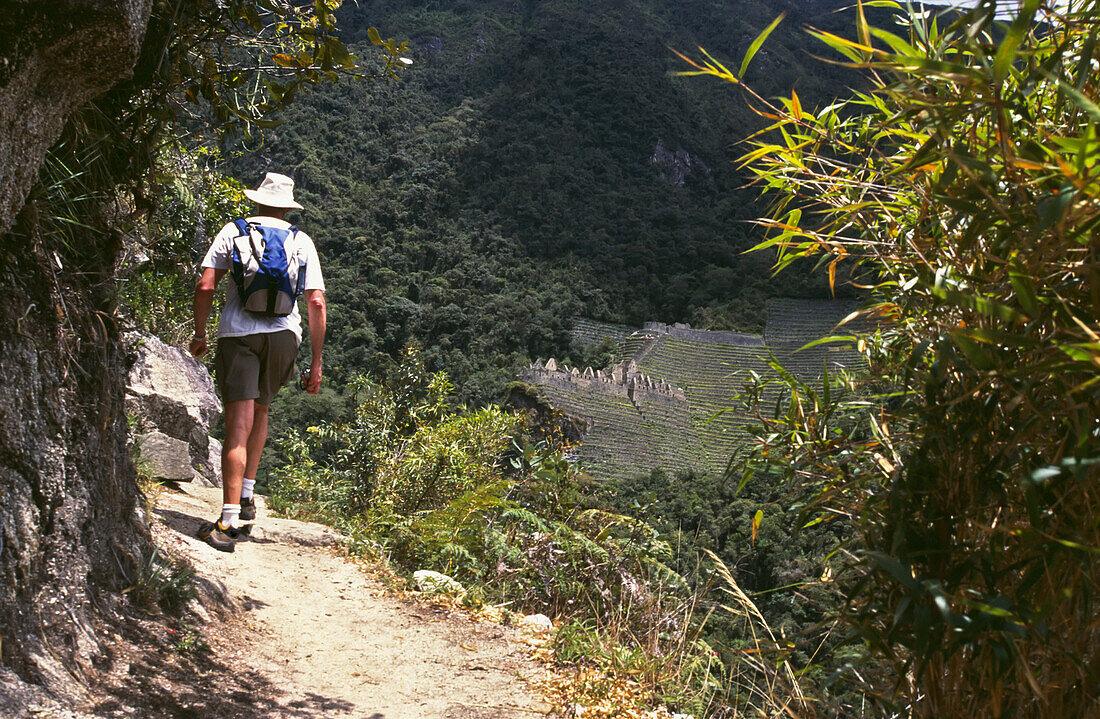 Backpacker Walking On The Inca Trail