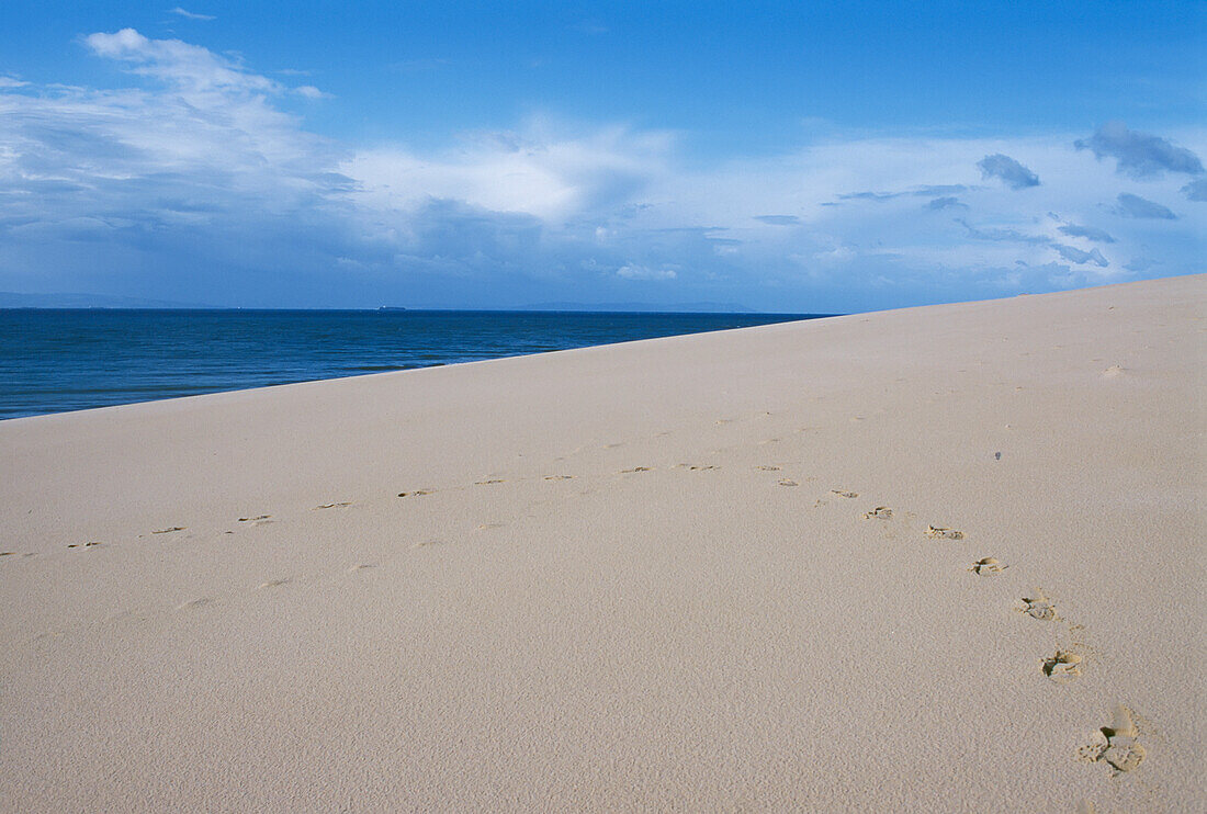 Fußabdrücke im Sand eines Strandes, Nahaufnahme
