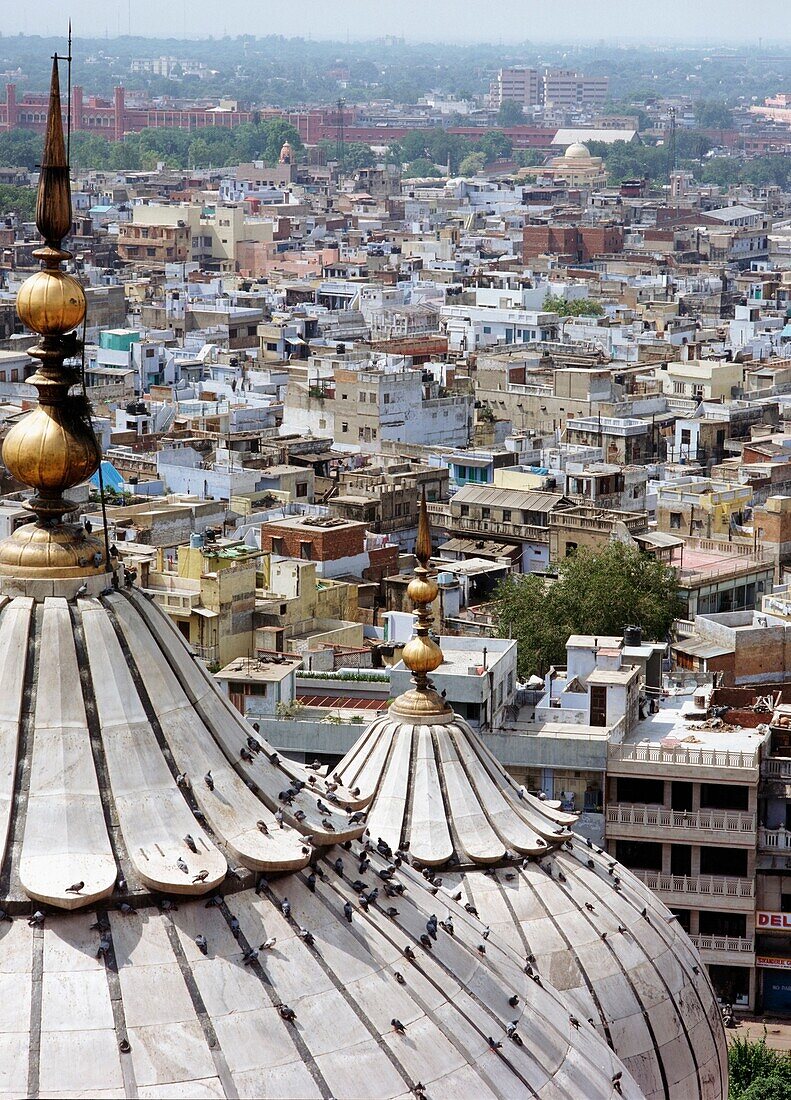 Die Dächer von Alt-Delhi von der Jami Masjid aus gesehen