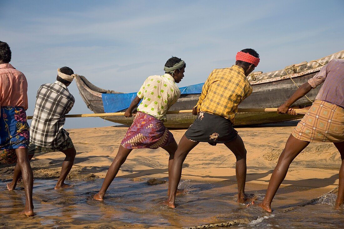 Fishermen Pulling Nets On Shore