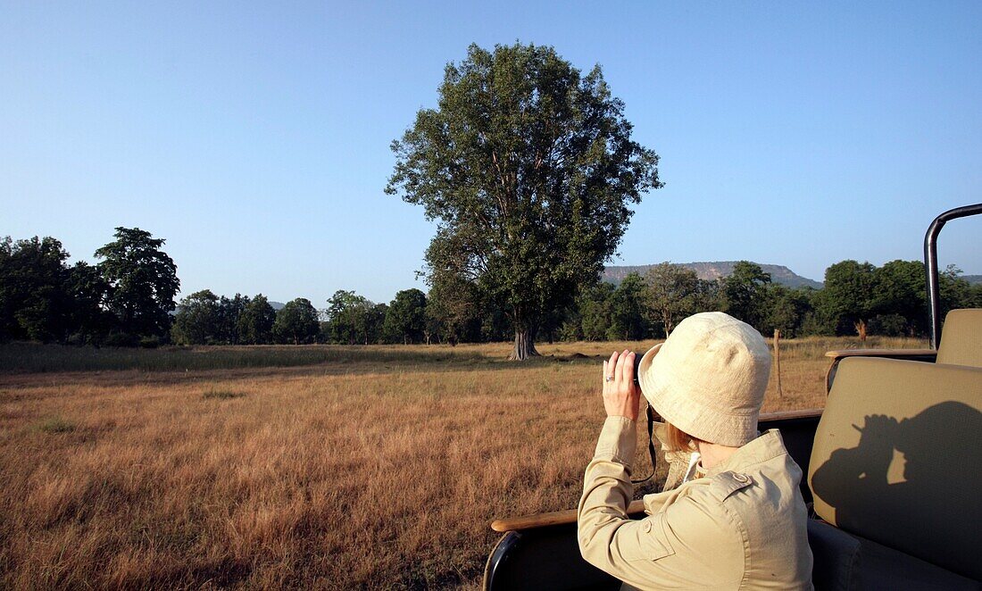 Frau in Khakis schaut durch ein Fernglas auf Safari