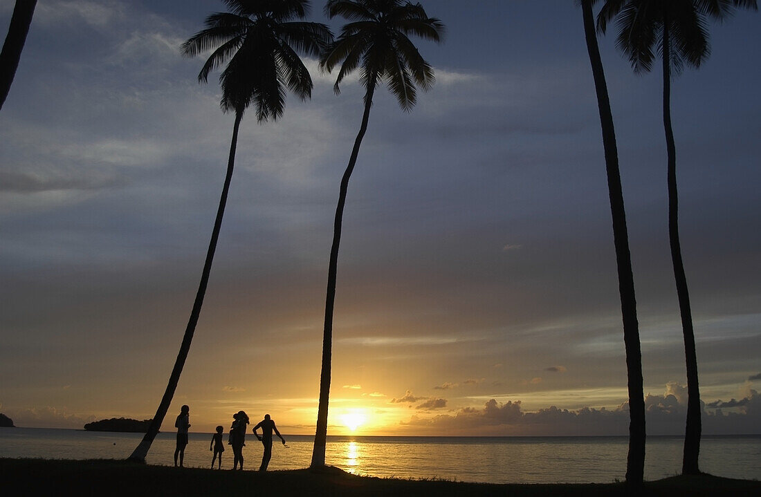 People Beneath Palm Trees At Dusk On Beach On The West Coast