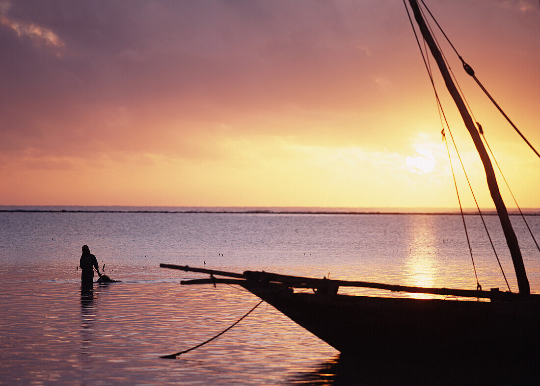Lady Collecting Seaweed At Dawn Beside Dhow On Matemwe Beach