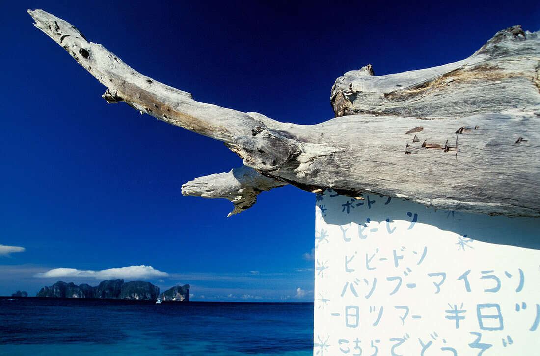 Treibholz-Schild am tropischen Strand